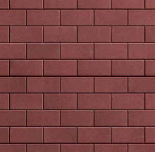 Тротуарная плитка Прямоугольник Стандарт  100х200 - krasnyj_standart